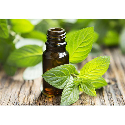 Spearmint Oil Chinese